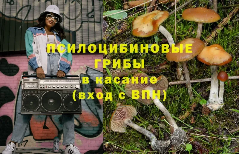 Галлюциногенные грибы MAGIC MUSHROOMS  Полысаево 